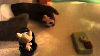 The Little Pet Shop's Nightmare!!
