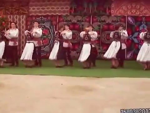 CRAISORII MOTILOR DIN TISA NOUA