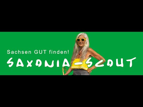 Hexenringe oder Feenringe