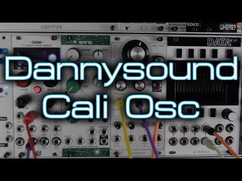 Dannysound Cali Oscillator - Brand New Eurorack Module image 5