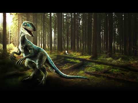 Gyrosphere battle!!!