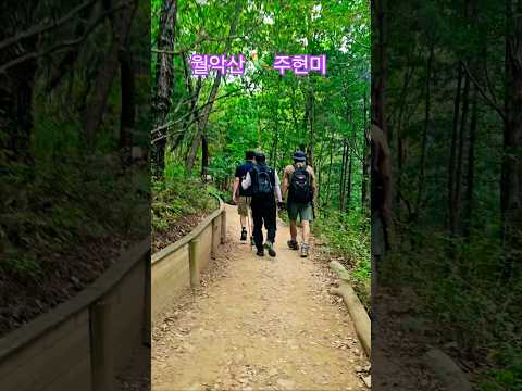 #월악산주현미#트롯뮤비