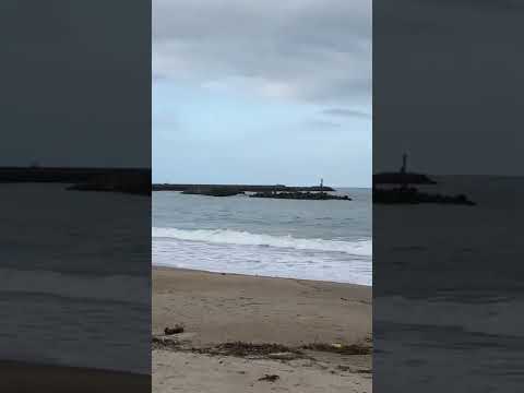 In. Hitachi- Higashi Onumacho Sea  Ibaraki  japan ( sugoi kirei no Umi desu )🤩🐡🐟🐠