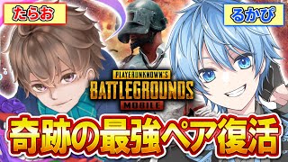 【PUBG MOBILE】公式大会優勝するぞ!『るかぴ・たらお』の奇跡の最強ペアで大会優勝します【るかぴ】【たらお】【PUBGモバイル】