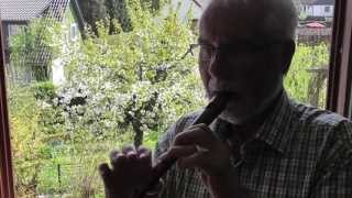 Der Kuckuck und der Esel - Ein Volkslied mit Blockflöte