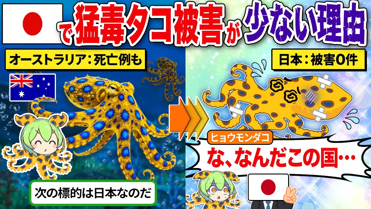 日本で猛毒タコの被害が少ない理由とは？