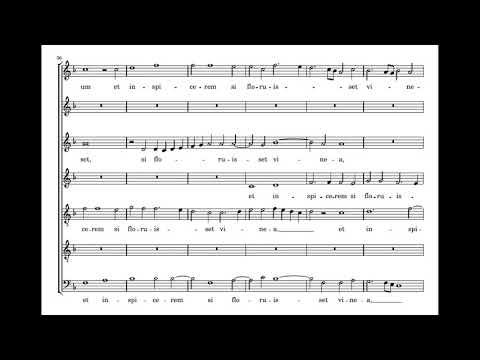 Cipriano de Rore: Descendi in hortum meum - Tallis Scholars