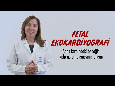 Fetal Ekokardiyografi Nedir?