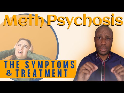 Meth Psychosis : Meth-Induced Psychosis