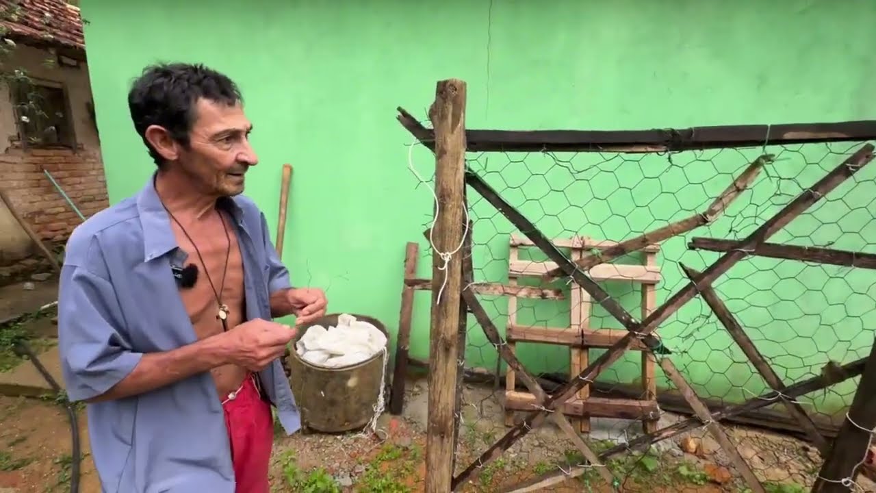 IMPROVISAMOS UM GALINHEIRO