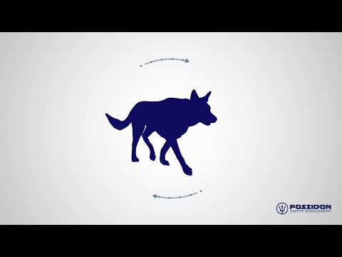 Poseidon Safety Management video.