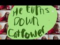 He Turns Down - Cat Power