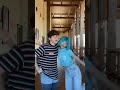Meet My SISTER