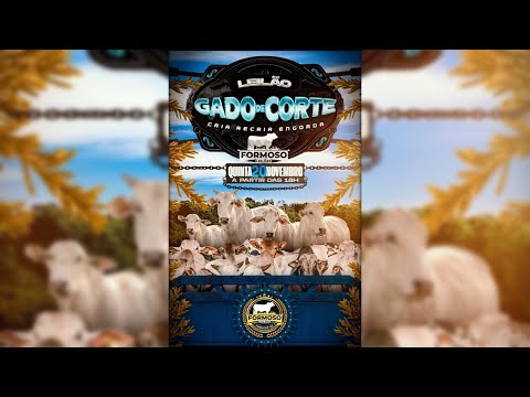 LEILÃO GADO DE CORTE FORMOSO LEILÕES - FORMOSO - GO - 20/11/2025