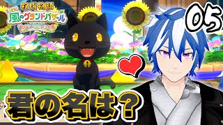 #05 ネコちゃん。猫ちゃん。ねこちゃんちゃん【牧場物語 Let's！風のグランドバザール】Switch2