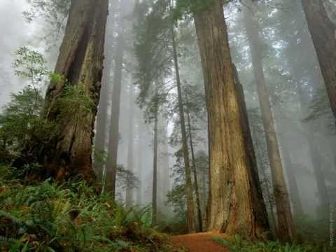 Ο ΜΥΘΟΣ ΤΟΥ ΕΡΥΣΙΧΘΟΝΑ (Myth of Erysichthon)