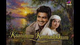 Download lagu Kanninum Kannadikkum @audikaglobal #malayalamsong #malayalammusic #mappilappattu #mappilappattukal  mp3
