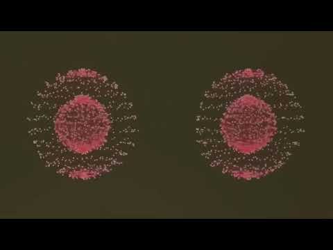 Google's Quantum Core Just CRACKED The Observer Effect!