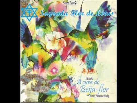 Amor a Terra - Hinário A Cura do Beija Flor - 38