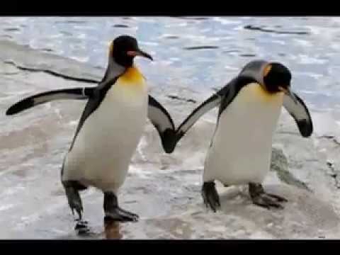 Mireille Mathieu & Patrick Duffy - Together We'Re Strong (Vinyl 12''- 1983) 6:23 HQ