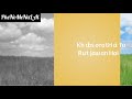 WhatsApp Status Aaj Mausam Bara Beimaan Hai With Lyrics Muhammed Rafi Best Song
