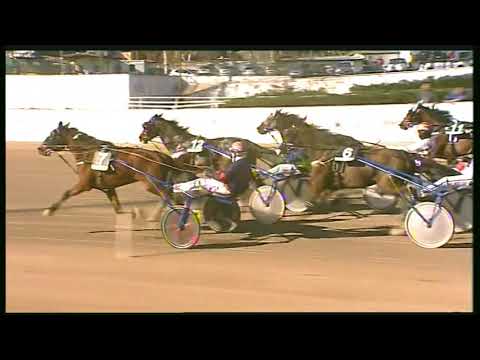 Trotto 21/02/2020 - 1ª corsa