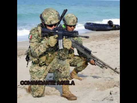 el wero v11. makabelico (versión militar)