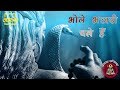 Bhajan Bhole Bhandari Chale Hain Shiv Bhajan By Shri Anil Purohit Aastha Channel