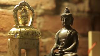 Как научиться успокаивать мысли в Медитации за 1 месяц