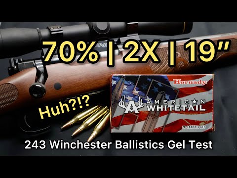 THIS COOKS | 243 Winchester Hornady American Whitetail 100gr Ammo Test