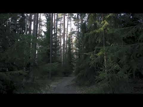 Sound of Praise - [ INSTRUMENTAL ] Bapa Kupercaya Pada-Mu