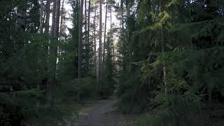 Download lagu Sound of Praise - [ INSTRUMENTAL ] Bapa Kupercaya Pada-Mu mp3