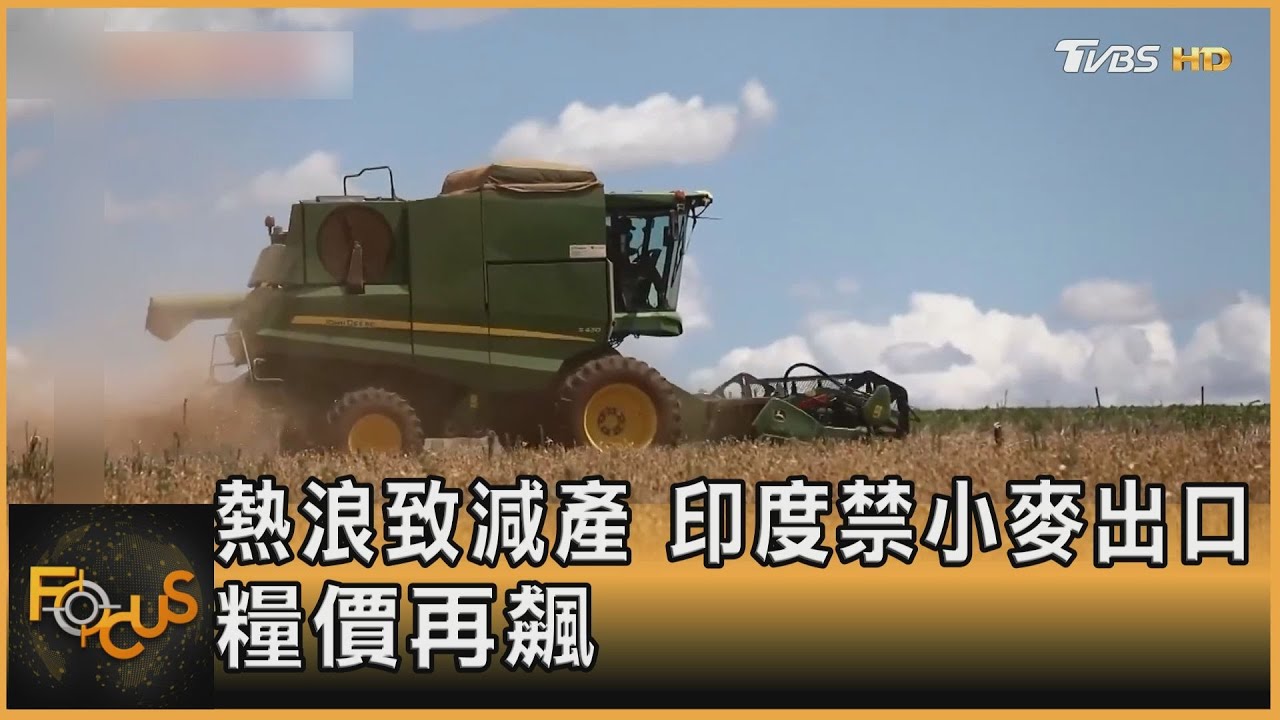 熱浪致減產 印度禁小麥出口.糧價再飆
