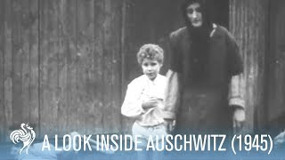 Shocking Look Inside Auschwitz Concentration Camp (1945) | British Pathé