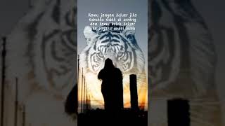 Download lagu Srikandi Pencak Silat Cempaka Putih🙏🏻 | Salam Seduluran | Lestari Budaya Indonesia #pscp1974 mp3