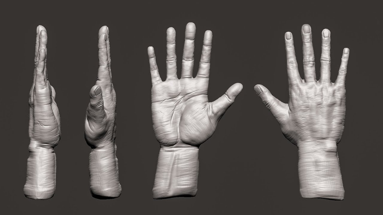 Mastering Realistic Hand Sculpting: Zbrush Timelapse Artistry | Zbrush Timelapse