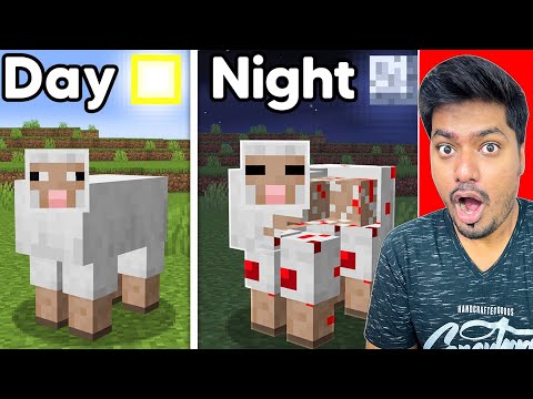Minecraft Myth Blood Sheep is TRUE !