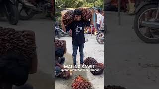 Download lagu 𝗠𝗔𝗟𝗜𝗡𝗚 𝗦𝗔𝗪𝗜𝗧 Ciptaan Amin Wahyudi Harahap Lagu ini untuk hiburan semata,  mp3