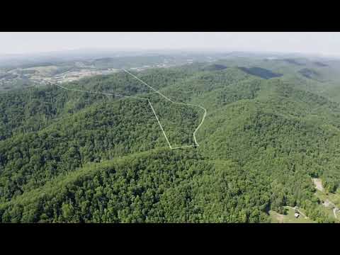 100 Acres of Raw Land for sale in Tennessee - 30 minutes outside Knoxville
