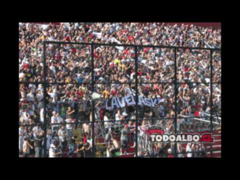 colo colo campeon, tatan luxinger