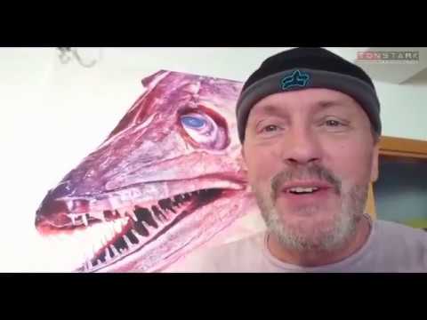 OLM - CLASSIC Günni "Pimp my Alte"