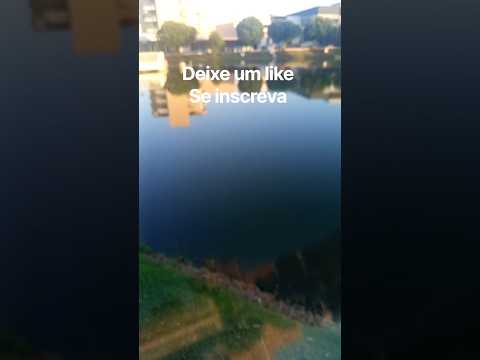espelho d'água são Luiz de montes belos go