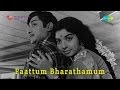 Paattum Bharathamum Mazhaikkaalam Song