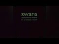 SWANS - Will We Survive? (Live)