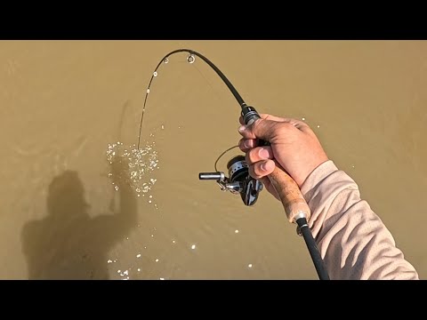 NÃO TINHA PEIXE EM LUGAR NENHUM… ATÉ EU DESCOBRIR ISSO! 