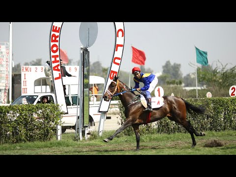 1st Race The Sohna Plate Distance 1100 Meters Winner Sardar Gee ( Pakistan Horse Racing ) Derby Day