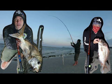 A fishy start to our far north adventure - 3.30am surfcast sesh off the sand