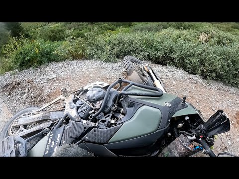 Colorado Adventure Riding: Black Bear Pass