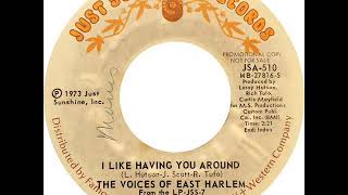 Voices Of East Harlem - I Like Having You Around