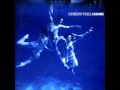 Catherine Wheel - Strange Fruit 